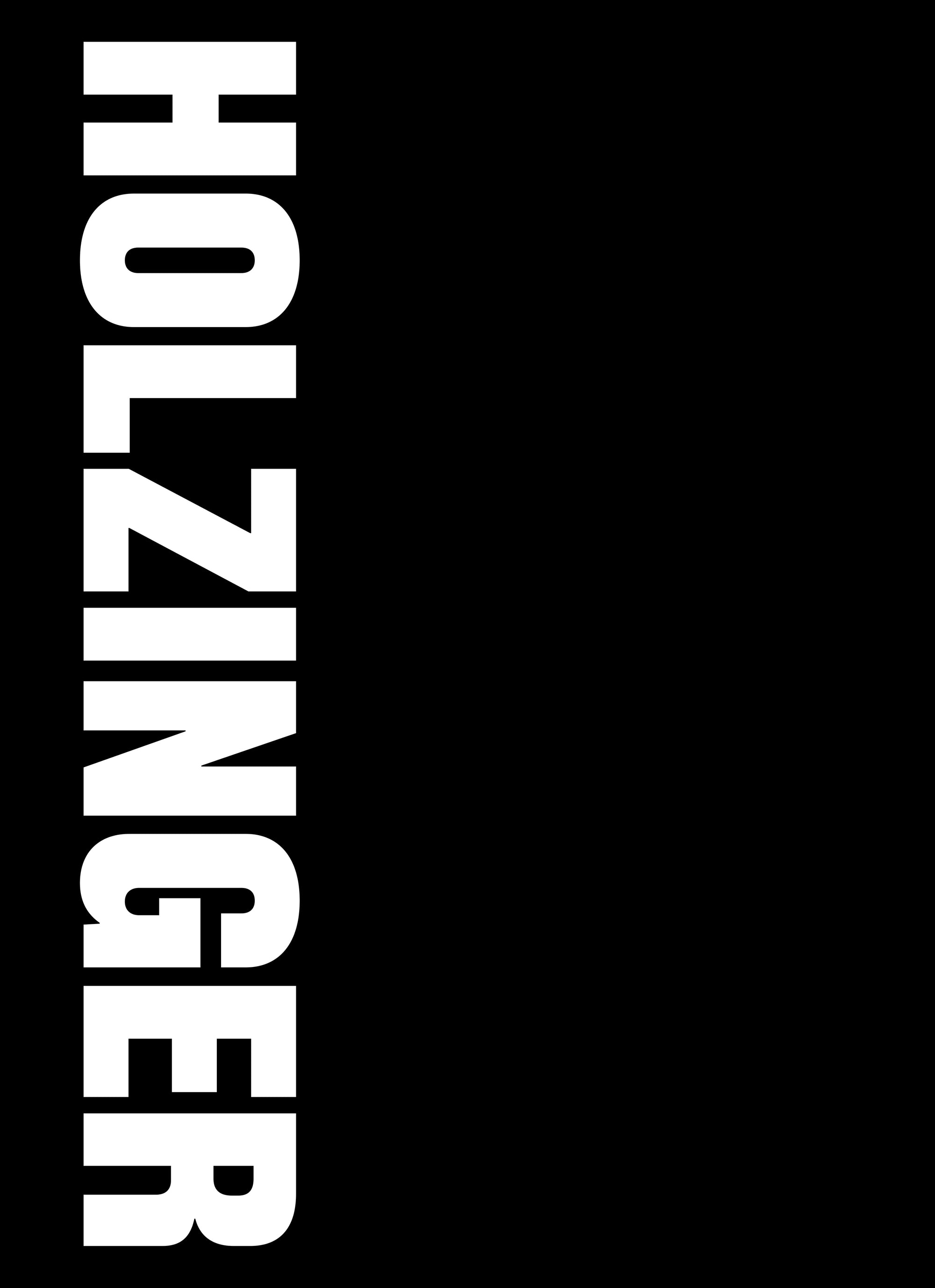 HOLZINGER Exhibition Book