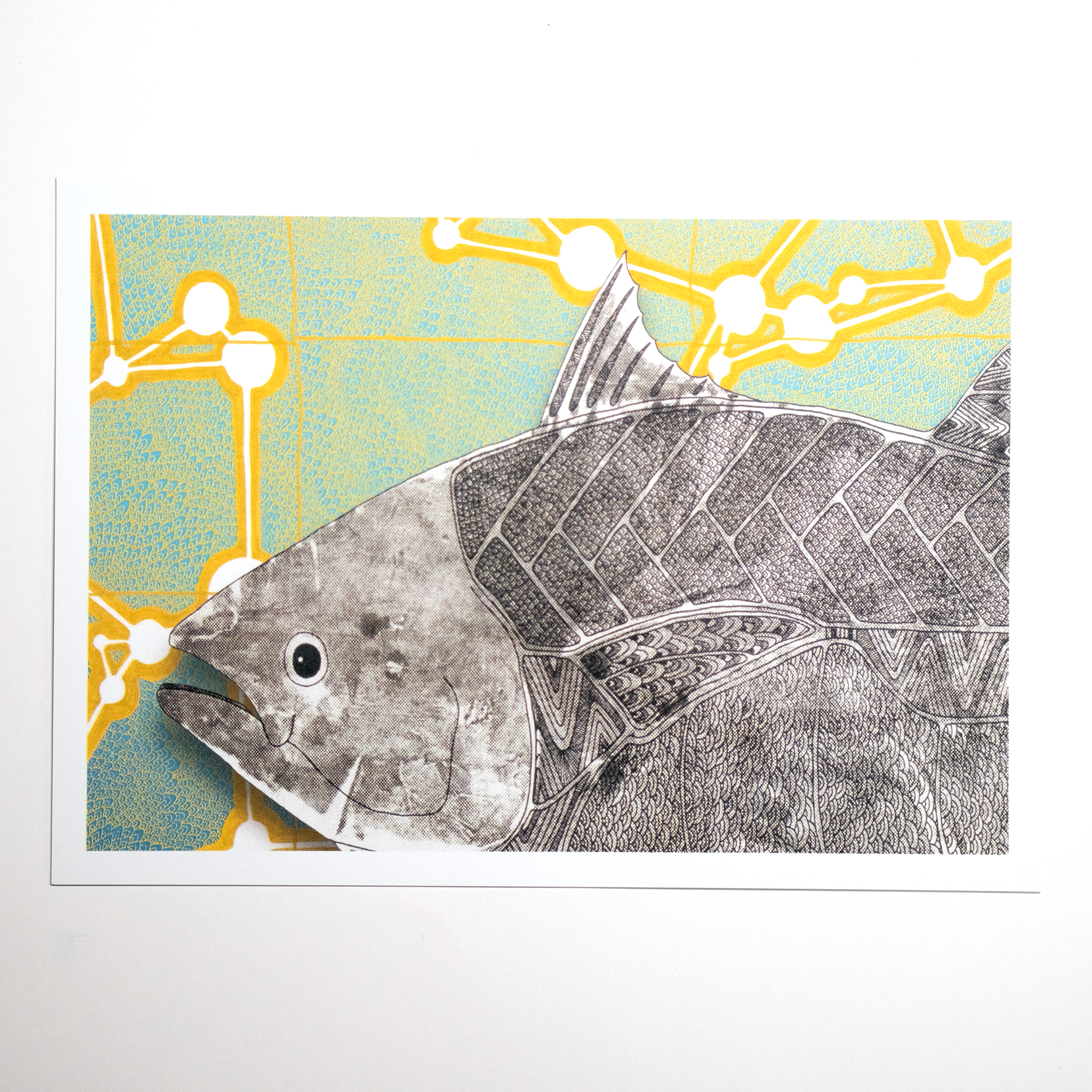 First Peoples Melbourne Art Trams (2026) Postcard Pack