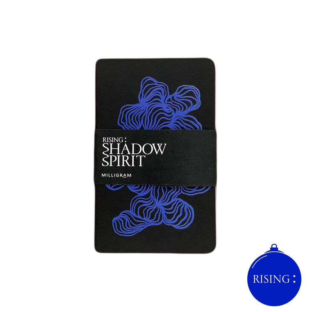 Milligram x RISING: Shadow Spirit Moleskine Notebook